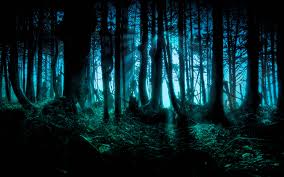 scary forest wallpaper