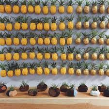 10 Best Pineapple Decor Ideas Gold