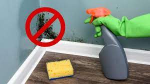 how to remove mould and mildew from