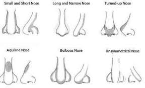 how to make your nose look smaller 4