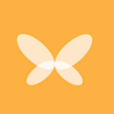 Papillon Communications Cvs Online Banners