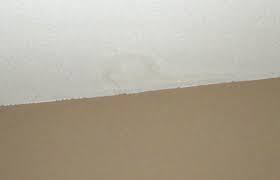 common sources of ceiling stains