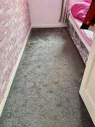 carpet cleaners paisley affordable 5