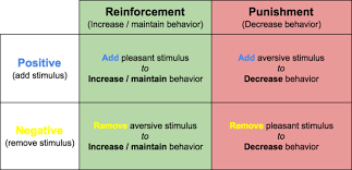 Reinforcement And Punishment Operant Conditioning