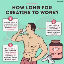 how long for creatine to work 1 week