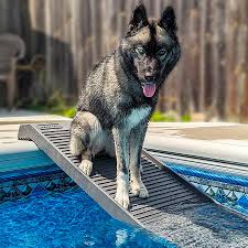 Petstep Pool Ramp For Dogs Easy Safe