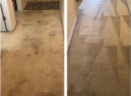 austin carpet cleaning luka chem dry
