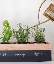 alice and loisdiy herb garden planter