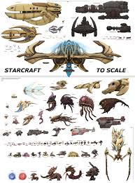 Starcraft Units To Scale Starcraft Zerg Starcraft