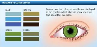 The Human Eye Color Chart Eye Color Chart Eye Facts Eye