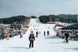korea ski resorts near seoul