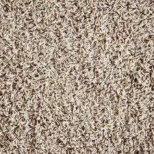 texture jpeg carpet rug