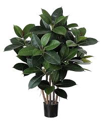 Increase the beauty in your home with this potted everyday artificial foliage rubber tree. 15 Best Artificial Office Plants Ideas Artificial Plants And Trees Artificial Plants Office Plants