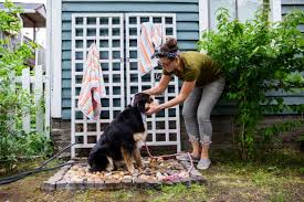 Diy Outdoor Dog Shower