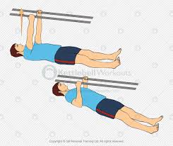 bodyweight rows and inverted rows