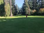 Ranking Every Full Pitch and Putt Golf Course in Metro Vancouver ...
