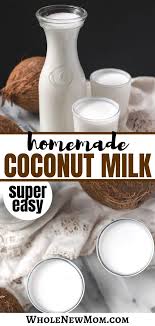 easiest homemade coconut milk