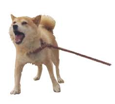 The biggest subreddit dedicated to providing you with the meme templates you're looking for. Slave Doge Template R Dogelore Ironic Doge Memes Know Your Meme