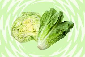 iceberg lettuce vs romaine lettuce
