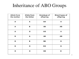 Inheritance And Genetic Of Blood Group