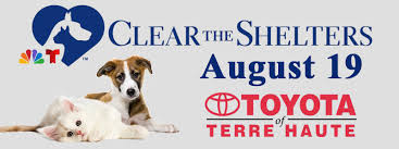 clear the shelters mywabashvalley com