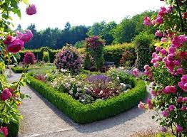 Hd Beautiful Rose Garden Wallpapers