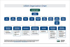 Sample Basic Organization Chart 17 Documents In Word Pdf
