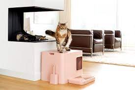The Best Spot For Your Cats Litter Box