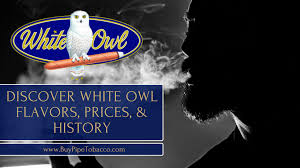 discover the white owl story flavors