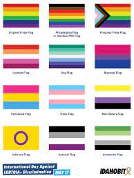 which pride flag should i use idahobit