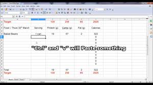 Calorie Counting In Excel Tutorial Youtube