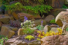 How To Build A Rock Garden On A Slope