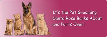Elliott is part of a santa rosa tradition of dental comfort and care. Pet Grooming Santa Rosa Hair Of The Dog