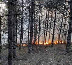 Bölgeye hareket eden ekiplerin yangını söndürme çalışmaları devam ediyor. Tekirdag Da Orman Yangini Politika Haber