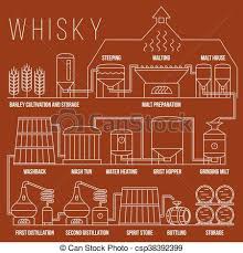 Whiskey Production Process Vector Infographic Template