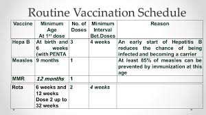 School Based Immunization Campaign Ppt Video Online Download
