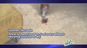 how to remove carpet stains with