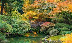 Firefall Portland Japanese Garden