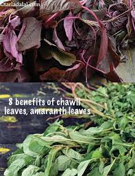 benefits of chawli leaves amaranth leaves