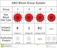 Abo Blood Stock Illustrations 23 Abo Blood Stock