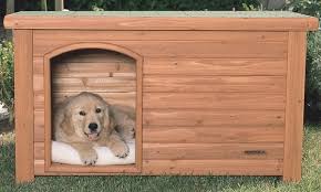 Dog House Ideas Your Pet Deserves A