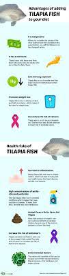 tilapia fish nutritional facts