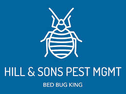 bed bug king professional bedbug