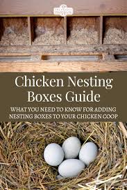 ultimate guide to en nesting bo