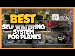 Top 10 Self Watering System For Plants