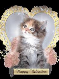 Résultat de recherche d'images pour "st valentin chaton"