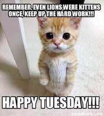 Tuesday meme, funny happy tuesday. Happy Tuesday Memes Images And Tuesday Motivational Quotes I Love Text Messages