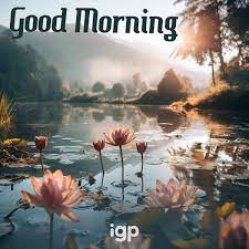 new good morning images pic es to