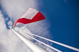 Flagi zostały stworzone dla pierwszego dnia ziemi w 1970 roku i to świetny sposób, aby pokazać swoje. Dzien Flagi Rp Sprawdz Czy Wiesz O Niej Wszystko Wlkp24 Info