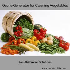 ozone generator for cleaning vegetables